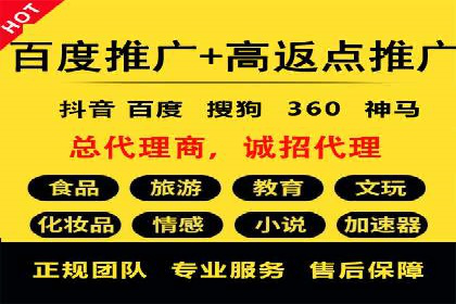 SEM运营公司成功案例解析